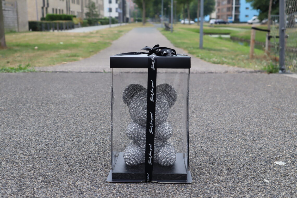 ZeyMem | Diamond Beer Incl. Gift Box | 25 cm | Rose Bear | Zilver