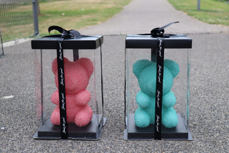 ZeyMem | Diamond Beer Incl. Gift Box | 25 cm | Rose Bear | Roze - Afbeelding 2